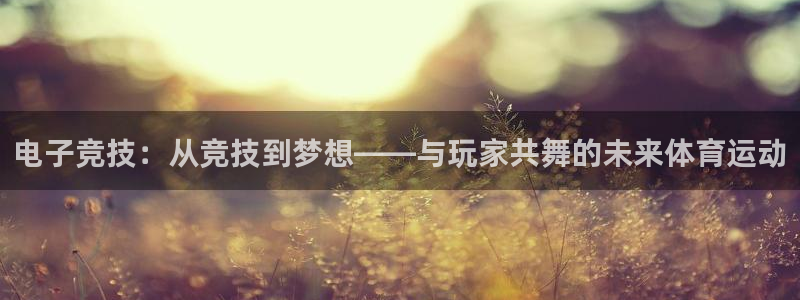 火博电竞官网入口