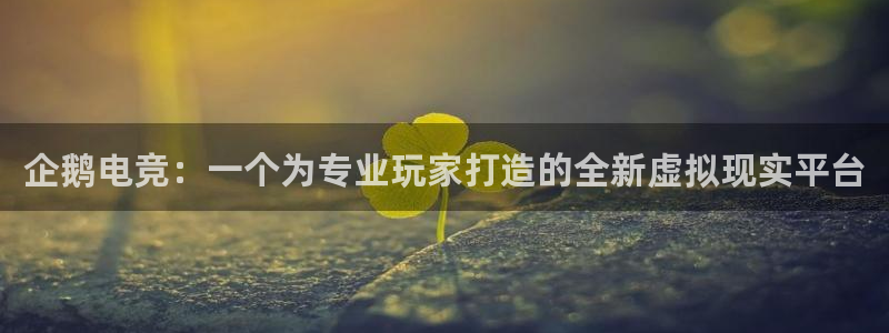 火博电竞官网入口