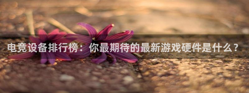 火博电竞官网入口