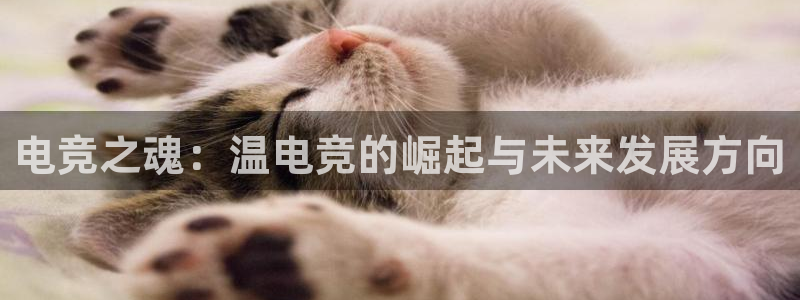 火博电竞app官网网站：电竞之魂：温电竞的崛起与未来发展方向