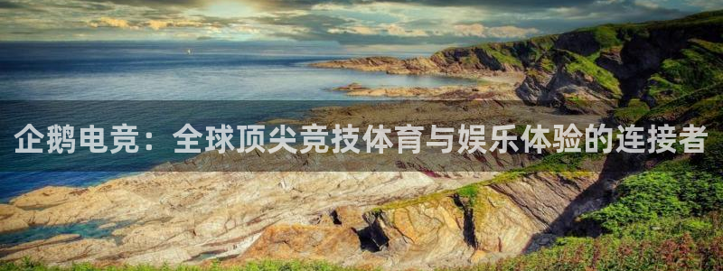 火博电竞官网入口：企鹅电竞：全球顶尖竞技体育与娱乐体验的连接者