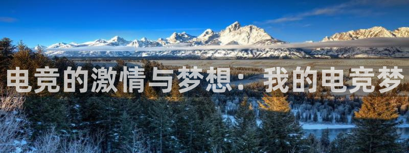 火博电竞网站：电竞的激情与梦想：我的电竞梦