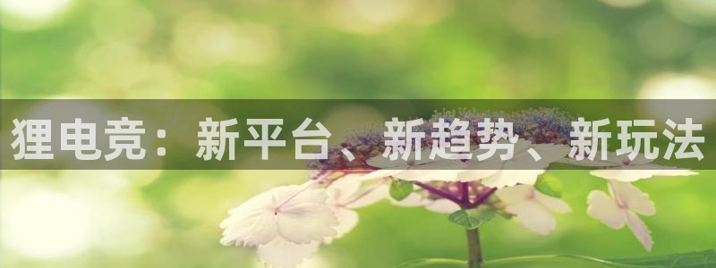 火博电竞app官网网站：狸电竞：新平台、新趋势、新玩法