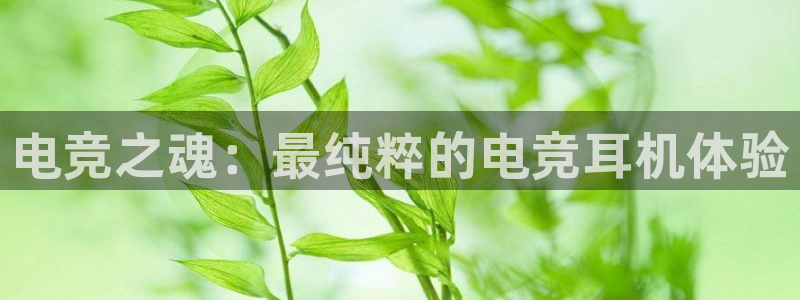 火博电竞官网入口：电竞之魂：最纯粹的电竞耳机体验