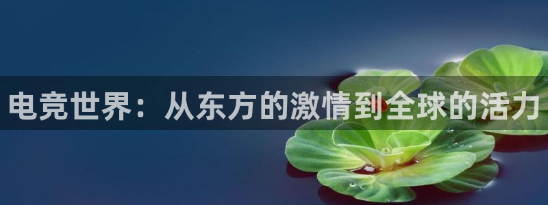 火博电竞网站：电竞世界：从东方的激情到全球的活力