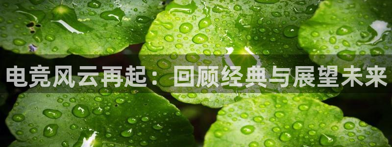 火博电竞：电竞风云再起：回顾经典与展望未来