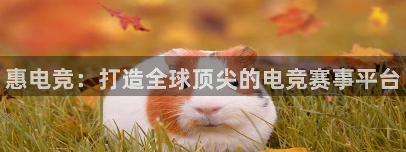 火博电竞网站：惠电竞：打造全球顶尖的电竞赛事平台