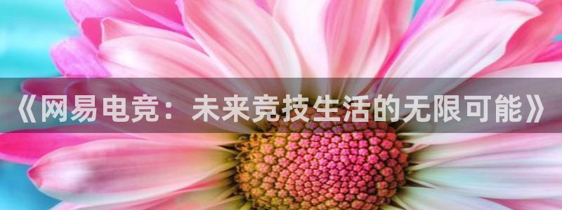 火博电竞：《网易电竞：未来竞技生活的无限可能》