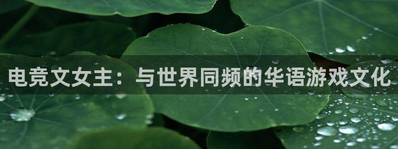 火博电竞网站：电竞文女主：与世界同频的华语游戏文化