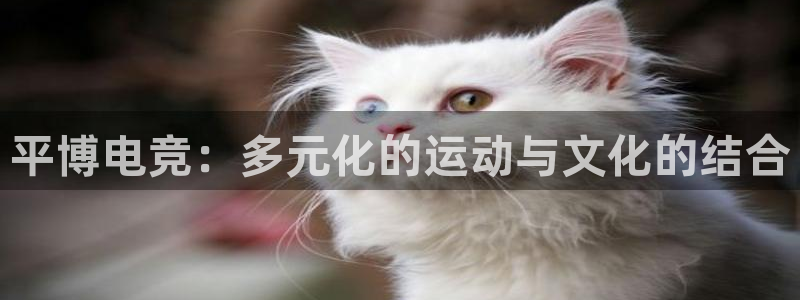 火博电竞：平博电竞：多元化的运动与文化的结合