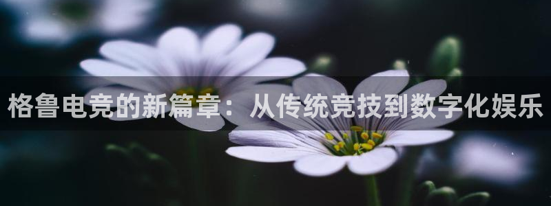 火博电竞：格鲁电竞的新篇章：从传统竞技到数字化娱乐