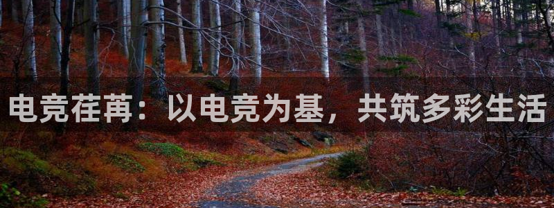 火博电竞官网入口